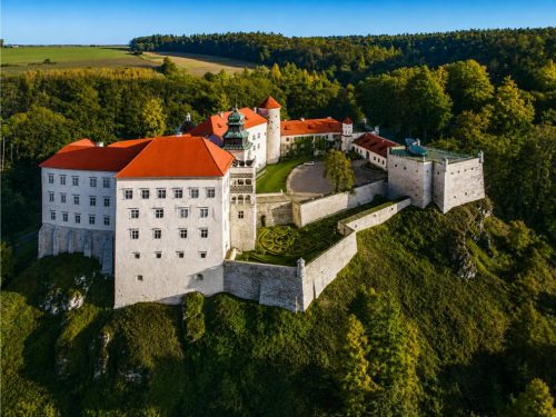 pieskowa2