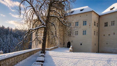 ps14 (1)